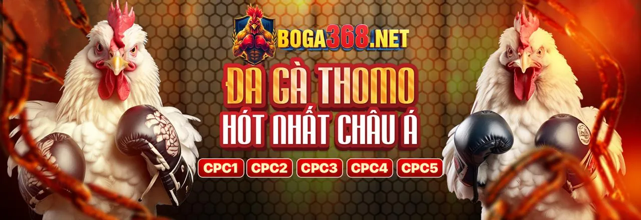 Đá gà trực tuyến S66 – Trải nghiệm cá cược đỉnh cao