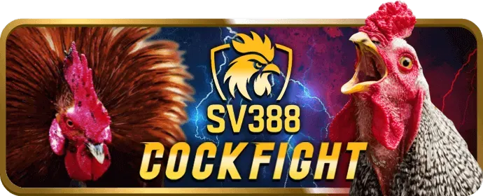 Tiền thưởng hoàn trả VIP s66 link vào
